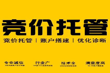SEM营销案例：电商平台的流量密码